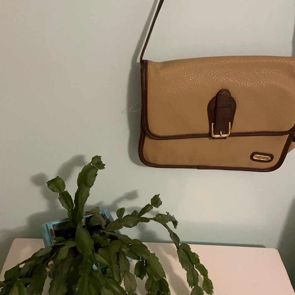 Kathie Lee satchel